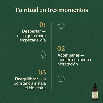 Drenaje Linfático Selavia – Gotas Naturales